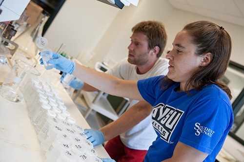 Two students researching